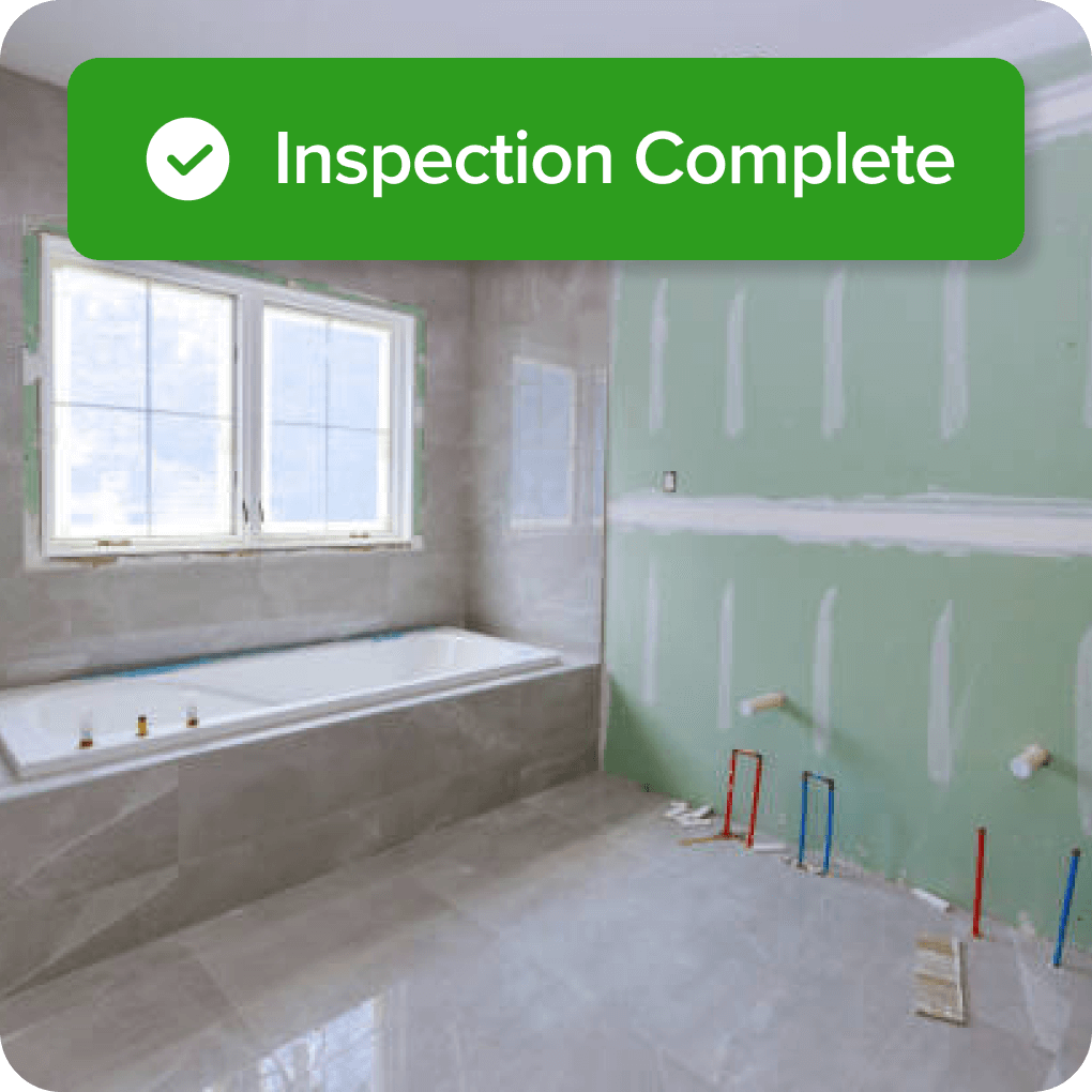 Inspection